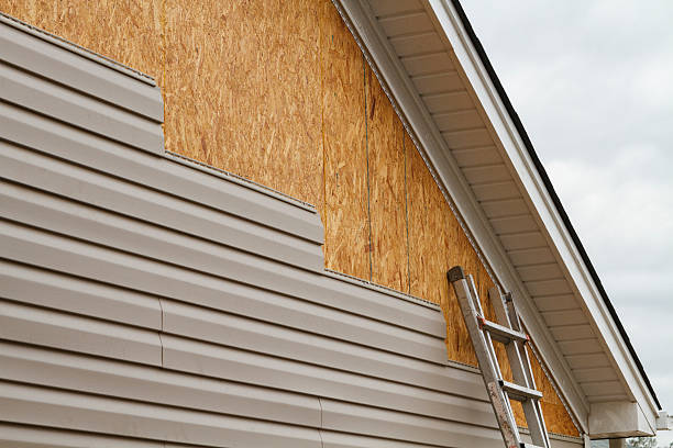 Professional Siding Inspection technician working in Aydlett, NC